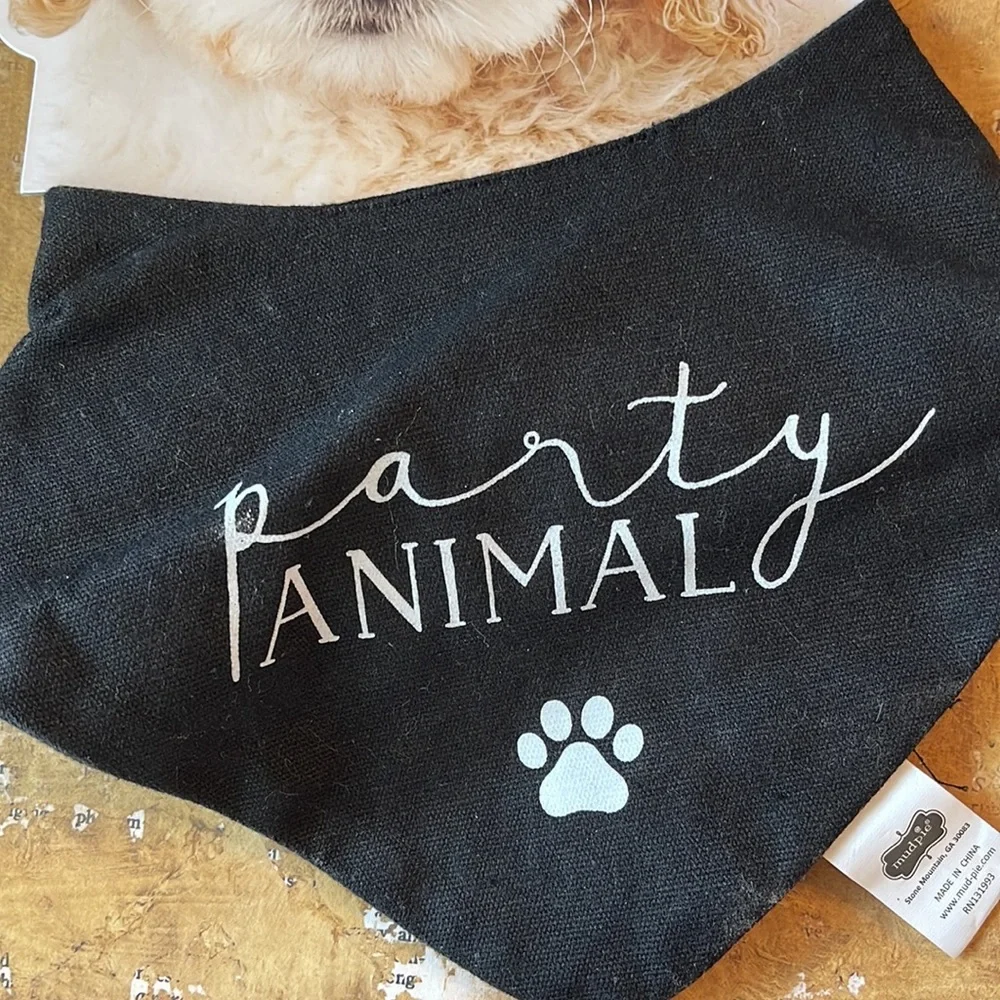 Mud Pie Black Doggie Bandana- Party Animal